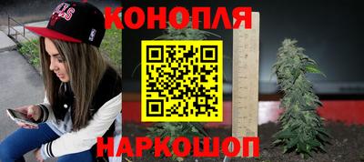 СК Брянск